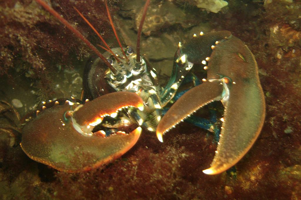 2008-10-18 10-34-14.JPG